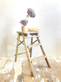 Folding step ladder with chippy paint