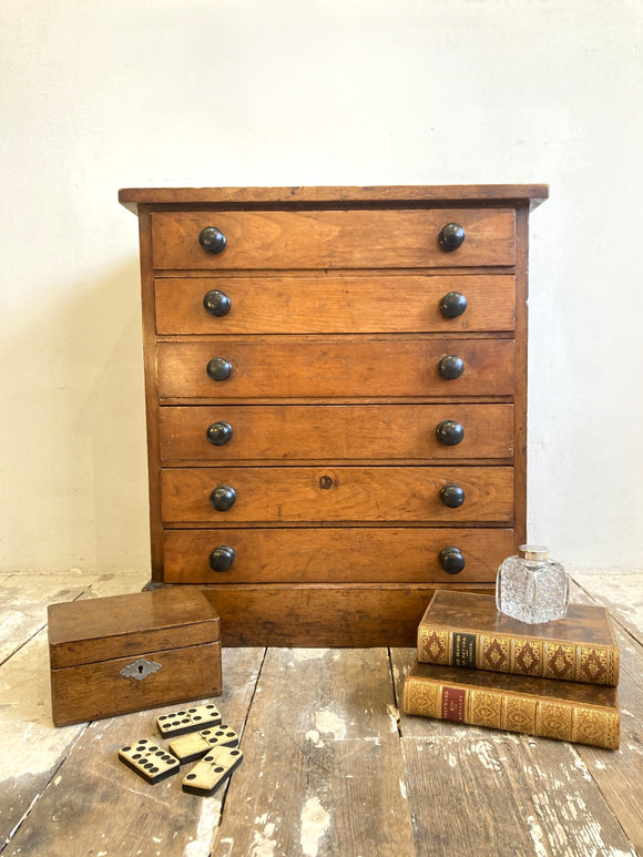 Victorian specimen or collectors chest A