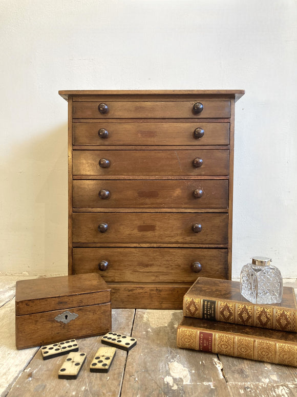 Victorian specimen or collectors chest B