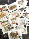 Antique De La Rue 'Animal Grab' cards game