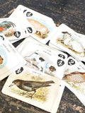 Antique De La Rue 'Animal Grab' cards game